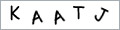 random security code