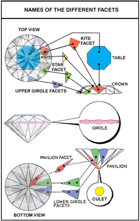 upper and lower girdle facets
